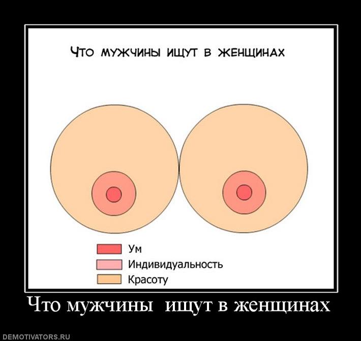 33633_chto-muzhchinyi-ischut-v-zhenschinah.jpg
