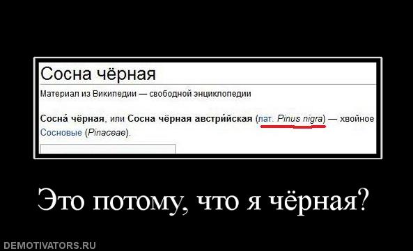 450966_eto-potomu-chto-ya-chyornaya.jpg