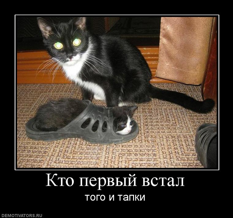 706470_kto-pervyij-vstal.jpg