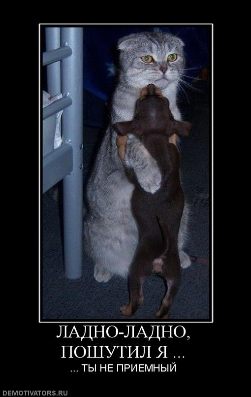 463430_ladno-ladno-poshutil-ya-.jpg