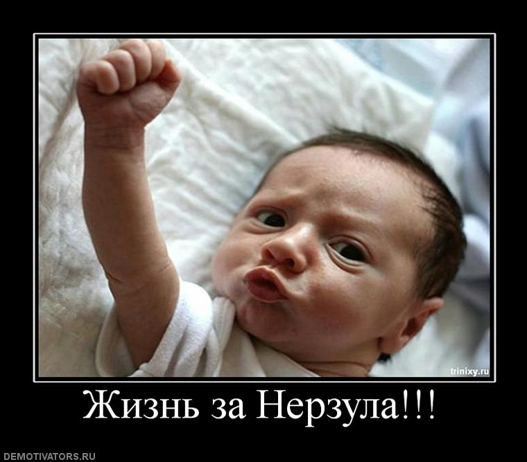 506846_zhizn-za-nerzula.jpg