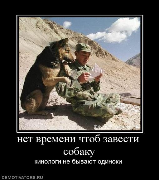 624722_net-vremeni-chtob-zavesti-sobaku.jpg