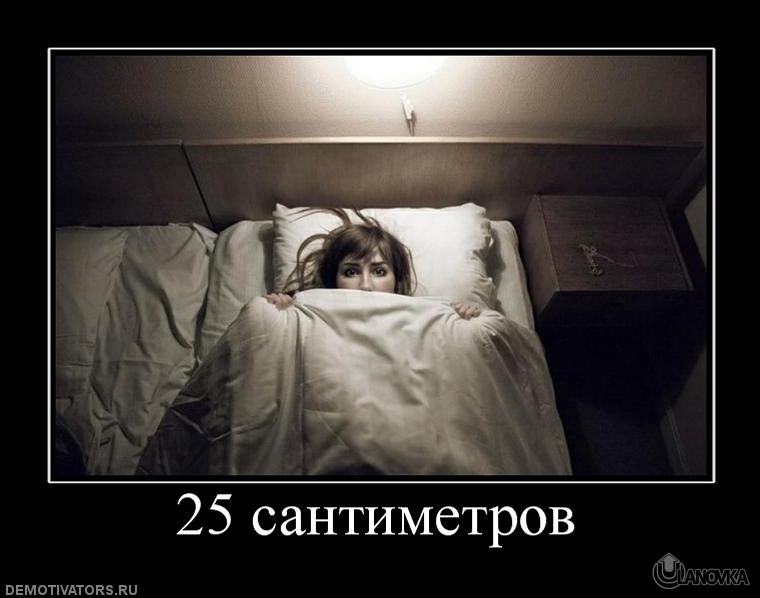 203662_25-santimetrov.jpg