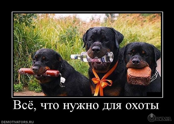 269002_vsyo-chto-nuzhno-dlya-ohotyi.jpg