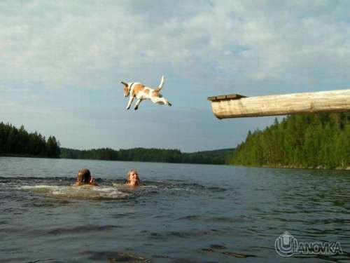 perfectly-timed-photos-26.jpg