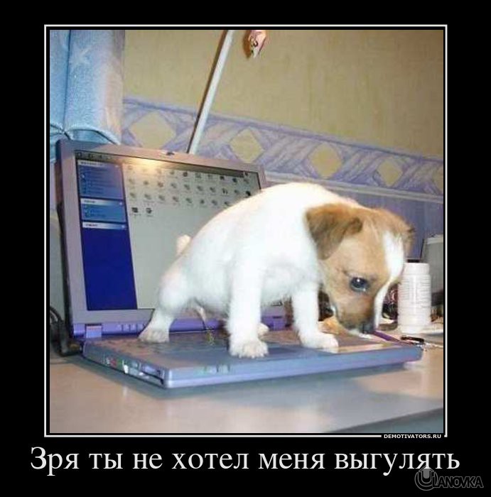 282092_zrya-tyi-ne-hotel-menya-vyigulyat.jpg