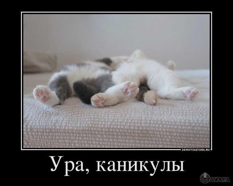 520295_ura-kanikulyi.jpg