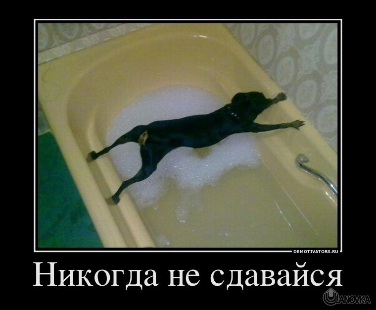 582392_nikogda-ne-sdavajsya.jpg