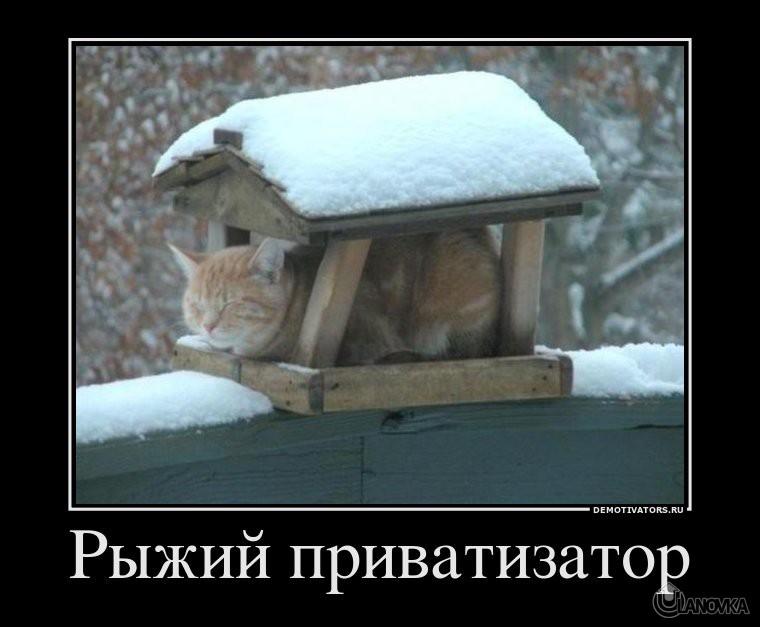 620198_ryizhij-privatizator.jpg
