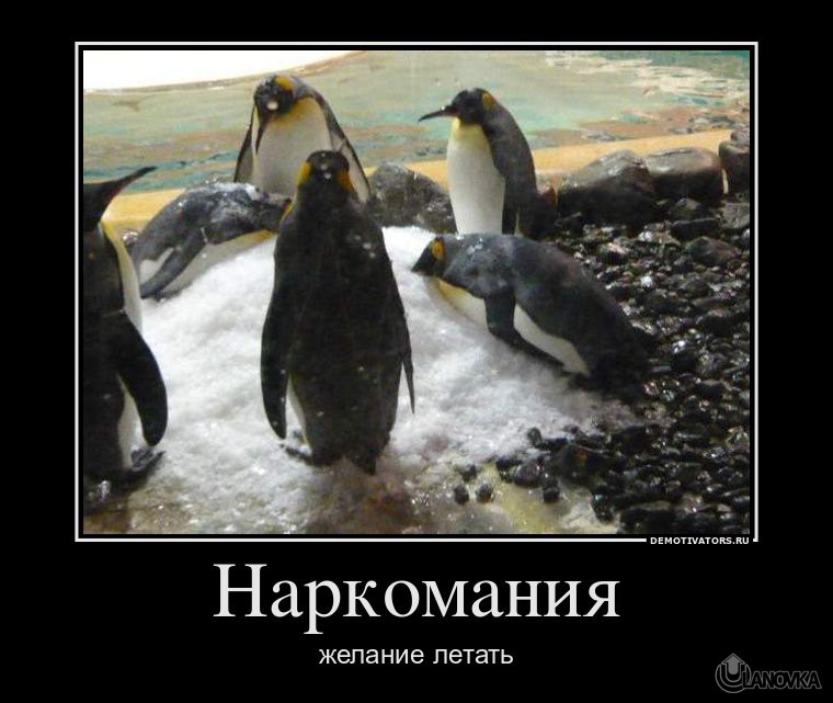 672359_narkomaniya.jpg