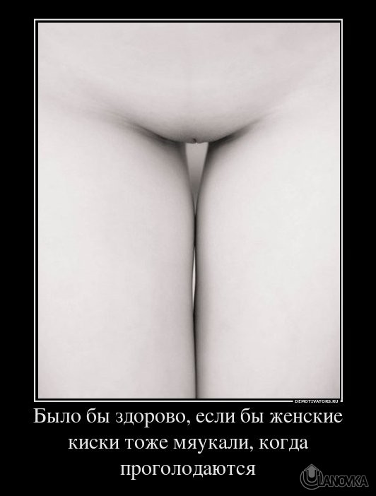 71248428_byilo-byi-zdorovo-esli-byi-zhenskie-kiski-tozhe-myaukali-kogda-progolodayutsya.jpg
