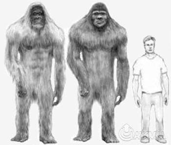 bigfoot5.jpg