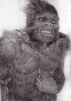 bigfoot6.jpg