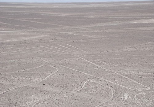 nazca5.jpg