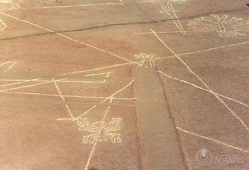 nazca7.jpg