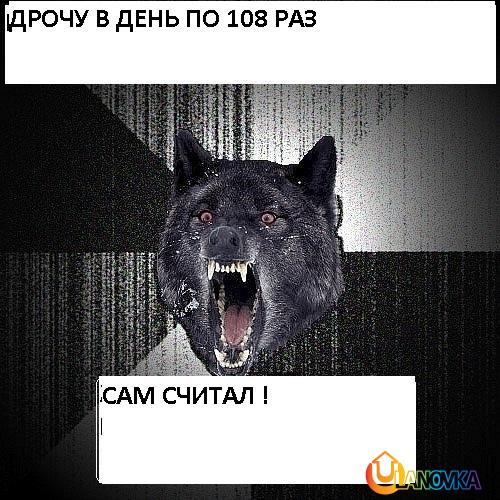 2_Wolf_Crazy_aed4b61d2dbb4931a5812fc46d442e6e.JPG