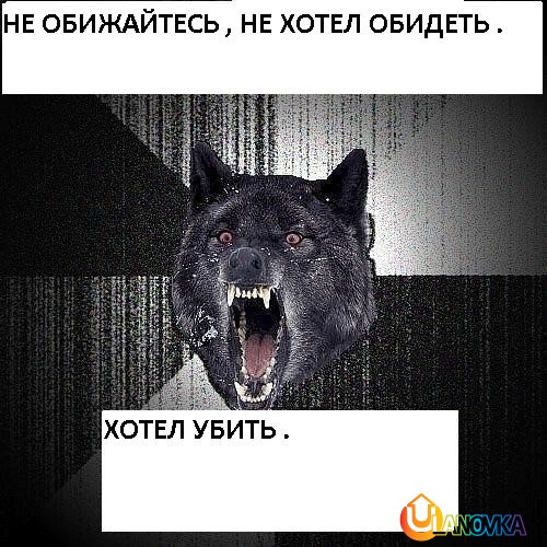 9_Wolf_Crazy_b78df8d59c2241bd99eacab8aa08d4b8.JPG