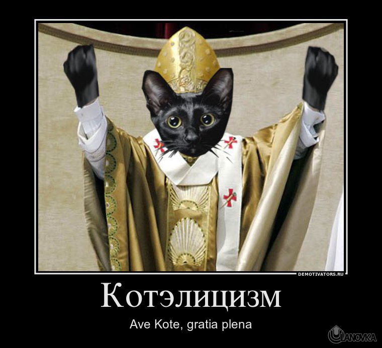 527992_kotelitsizm.jpg