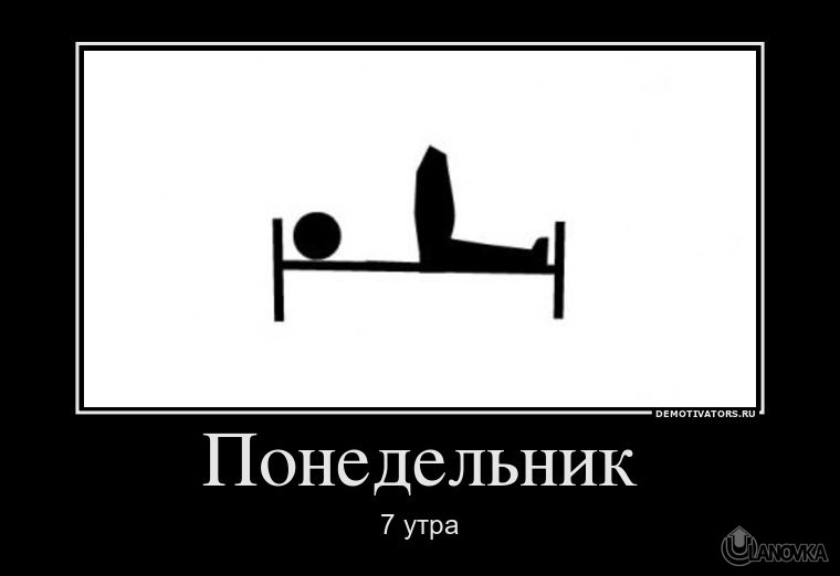 739129_ponedelnik.jpg