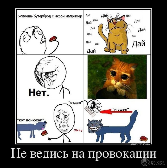775763_ne-vedis-na-provokatsii.jpg