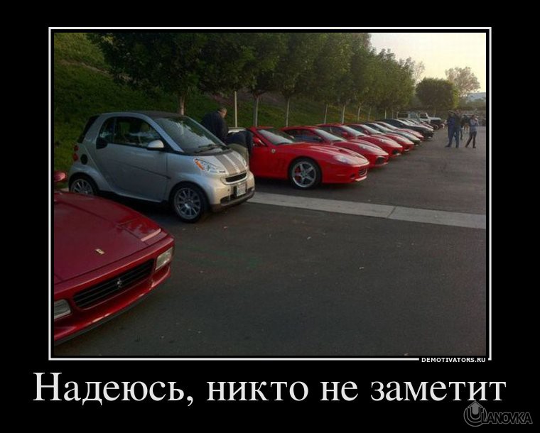 193371_nadeyus-nikto-ne-zametit.jpg