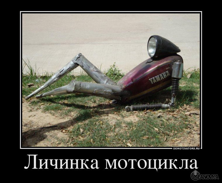 635569_lichinka-mototsikla.jpg