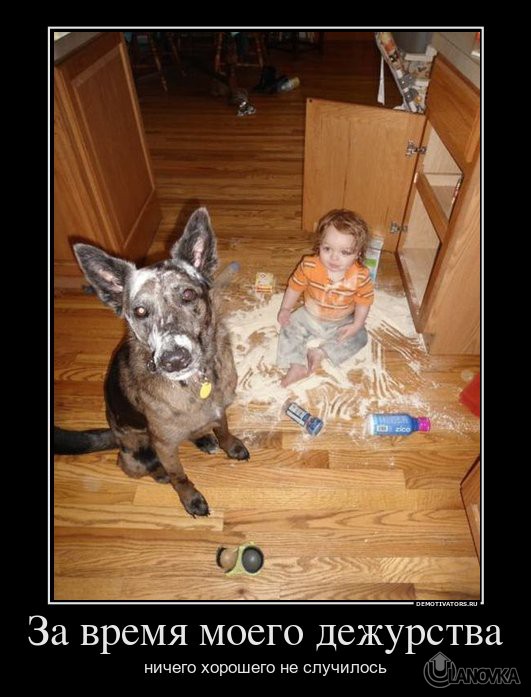 73124492_za-vremya-moego-dezhurstva.jpg