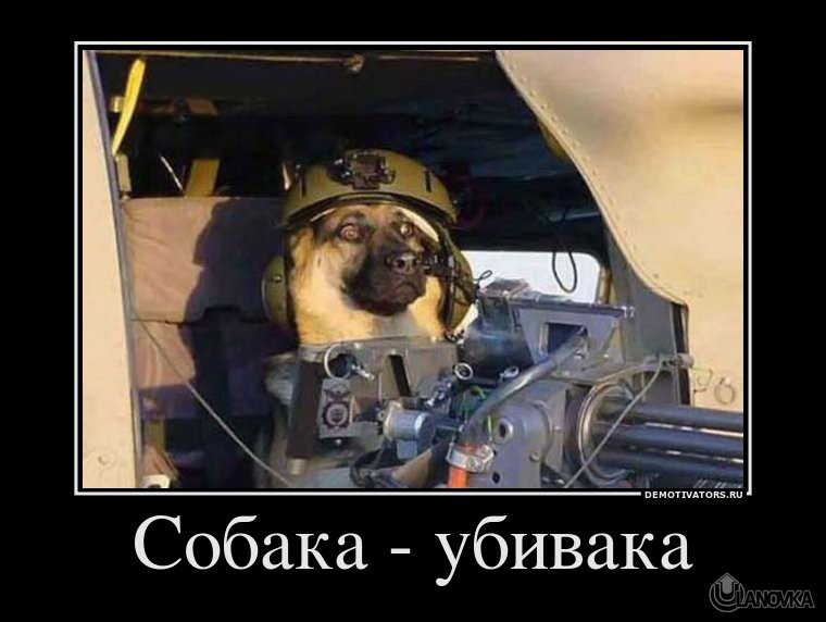 947558_sobaka-ubivaka.jpg