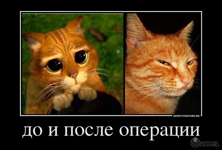 962831_do-i-posle-operatsii.jpg