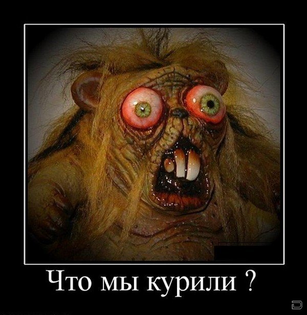 1263454152_1263409843_demotivators_18.jpg