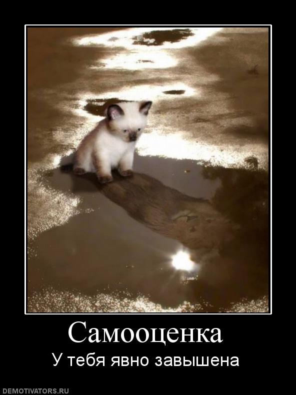 166679_samootsenka.jpg