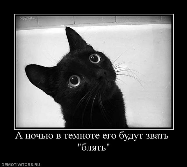 175319_a-nochyu-v-temnote-ego-budut-zvat-blyat.jpg