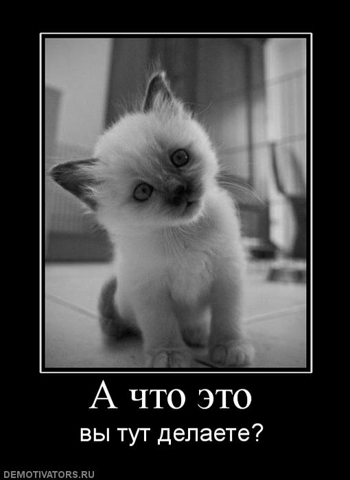 248021_a-chto-eto.jpg