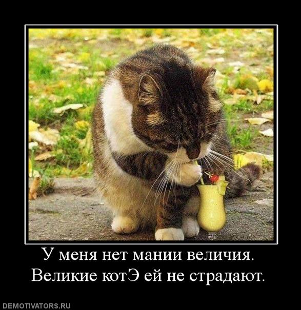 304334_u-menya-net-manii-velichiya-velikie-kote-ej-ne-stradayut_0fe4cb4b76cd1ef02c859096a545c544.jpg