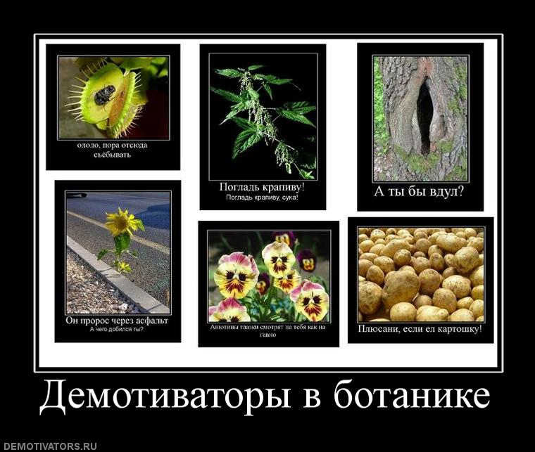 30625_demotivatoryi-v-botanike.jpg