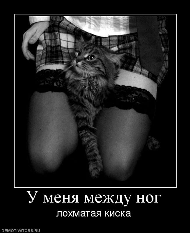351213_u-menya-mezhdu-nog.jpg
