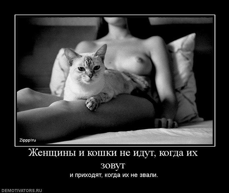 391735_zhenschinyi-i-koshki-ne-idut-kogda-ih-zovut.jpg