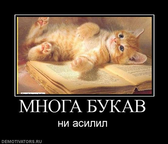 512160_mnoga-bukav.jpg