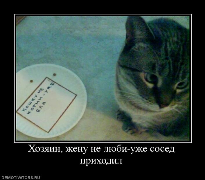 529877_hozyain-zhenu-ne-lyubi-uzhe-sosed-prihodil.jpg