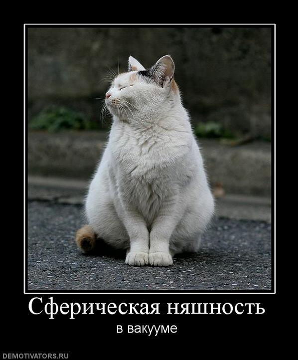 552919_sfericheskaya-nyashnost.jpg