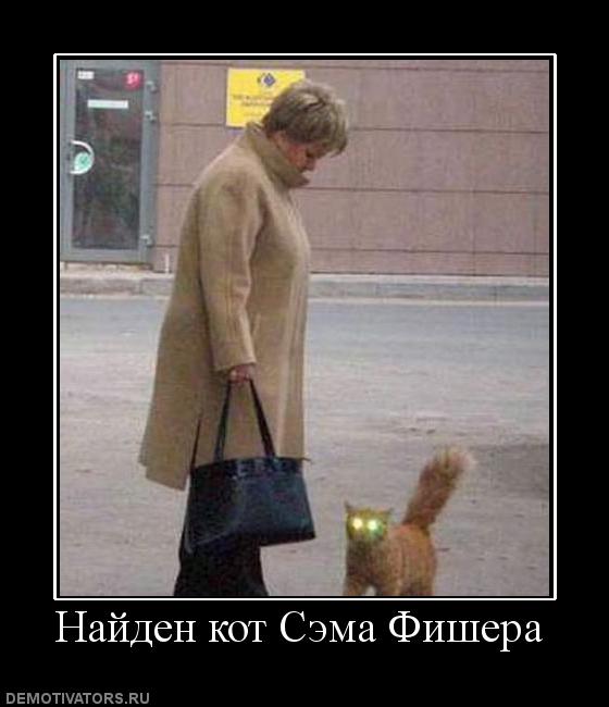 593199_najden-kot-sema-fishera.jpg