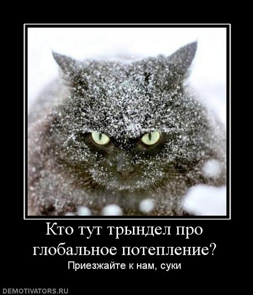628709_kto-tut-tryindel-pro-globalnoe-poteplenie.jpg