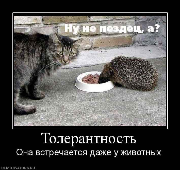 631659_tolerantnost.jpg