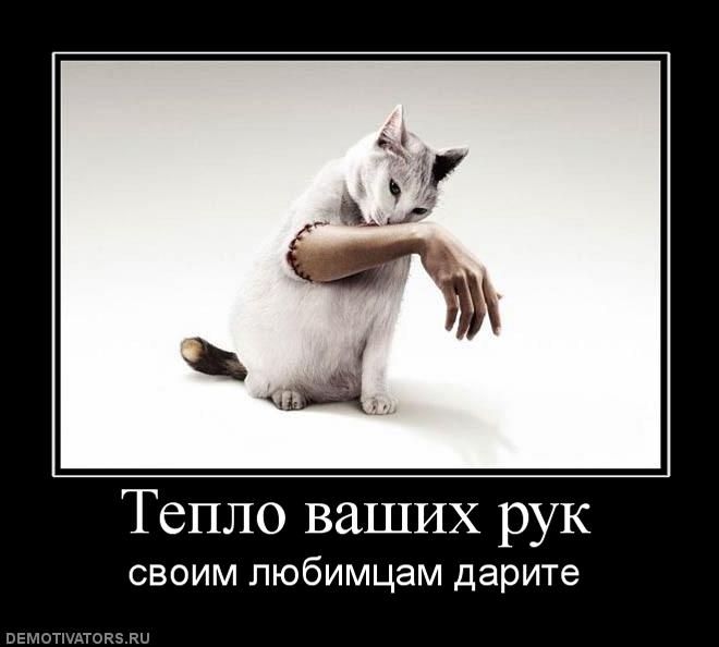 775151_teplo-vashih-ruk.jpg