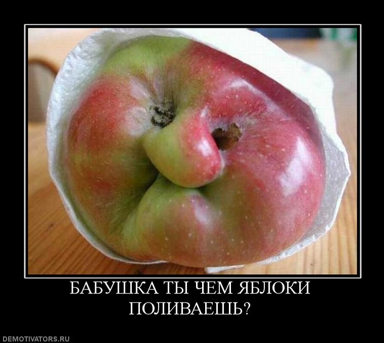 812431_babushka-tyi-chem-yabloki-polivaesh.jpg