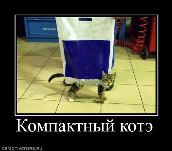 836348_kompaktnyij-kote.jpg