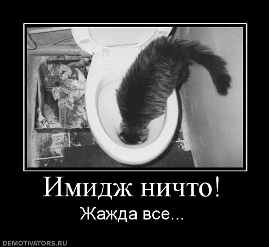 840805_imidzh-nichto.jpg