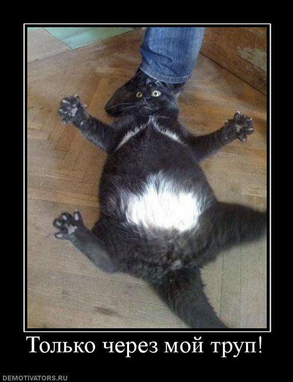 85823_tolko-cherez-moj-trup.jpg
