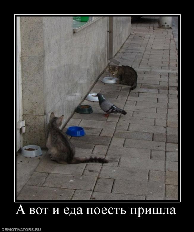 85876_a-vot-i-eda-poest-prishla.jpg