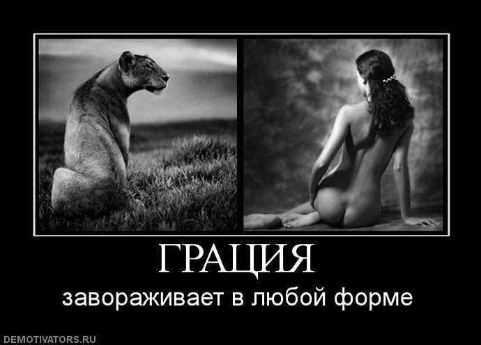 907660_gratsiya.jpg
